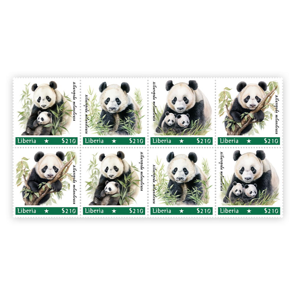 Het “Panda Mother with Child” Collectors-Pack 2023
