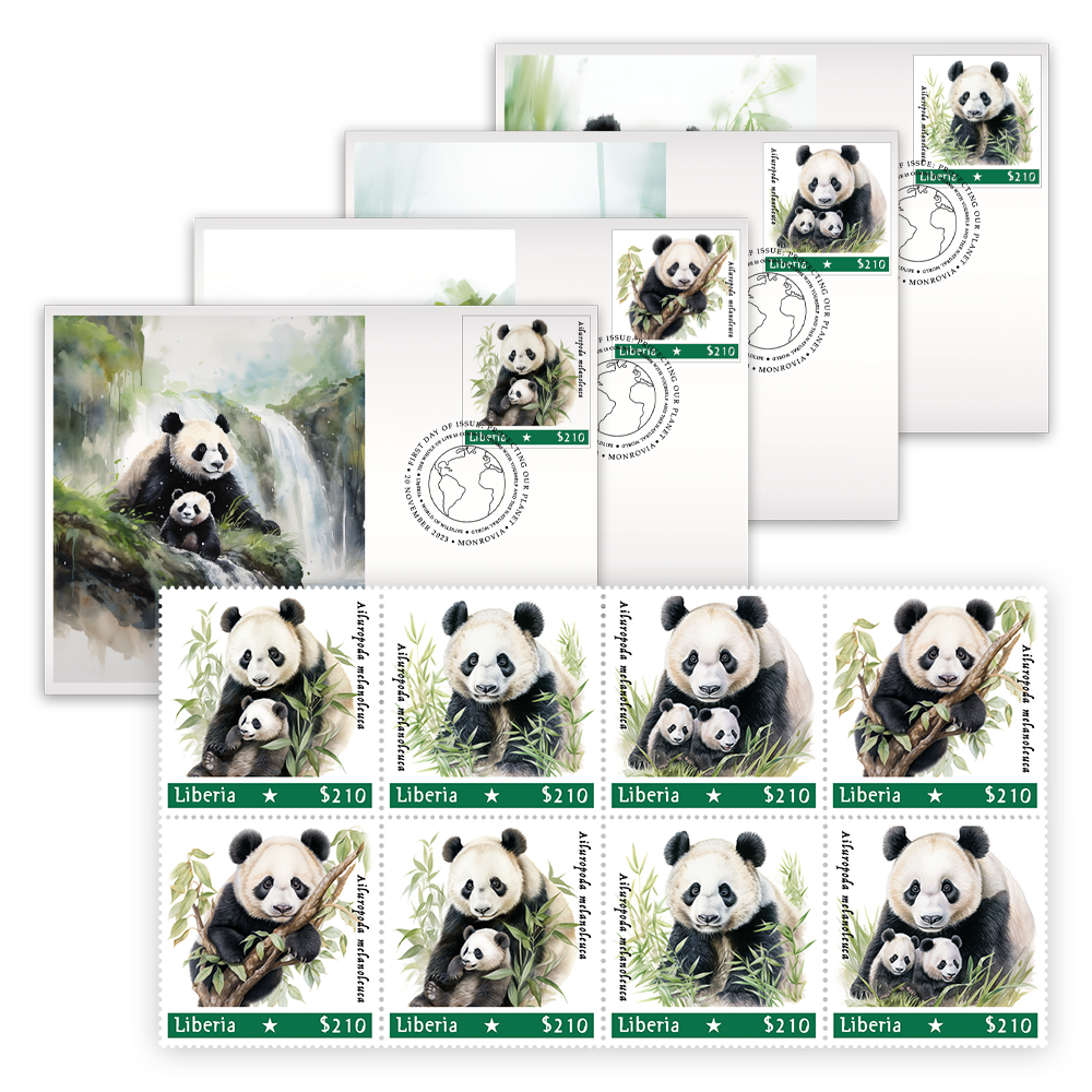 Het “Panda Mother with Child” Collectors-Pack 2023