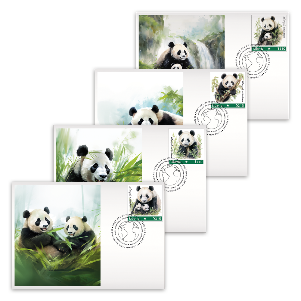 Het “Panda Mother with Child” Collectors-Pack 2023