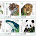 Het Officiële Postzegelvel “Onze Planeet Aarde: De Bedreigde Dieren” - Edel Collecties